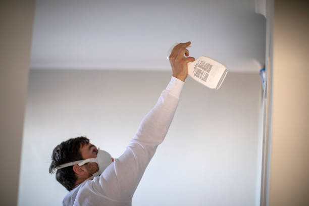 Best Commercial Mold Removal  in Richton, MS