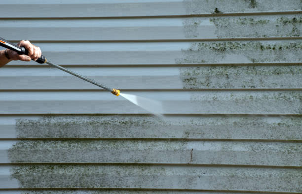 Best Mold Inspection  in Richton, MS