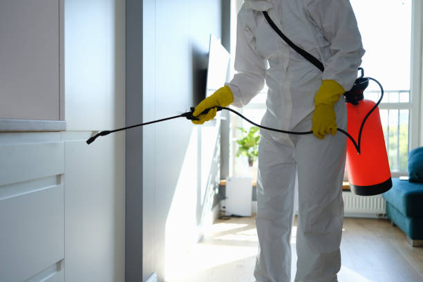 Best Mold Damage Repair  in Richton, MS