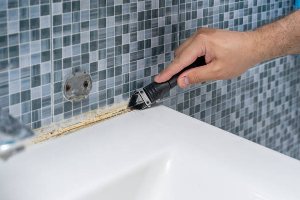 Mold Removal and Inspection in Richton, MS