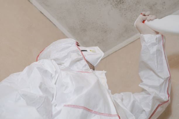 Best Mold Remediation  in Richton, MS