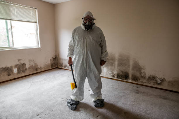Best Office Mold Removal Services  in Richton, MS